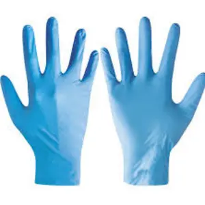 1747121700_Disposable Gloves.webp